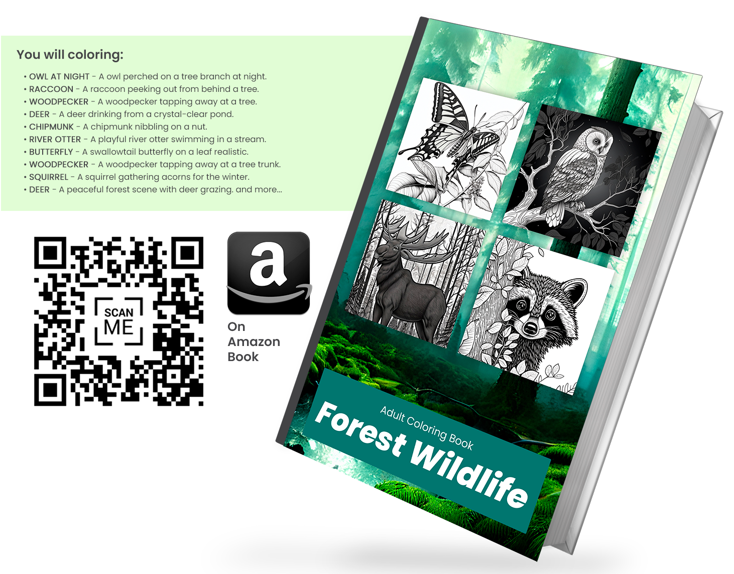 Forest Wildlife Coloring Book